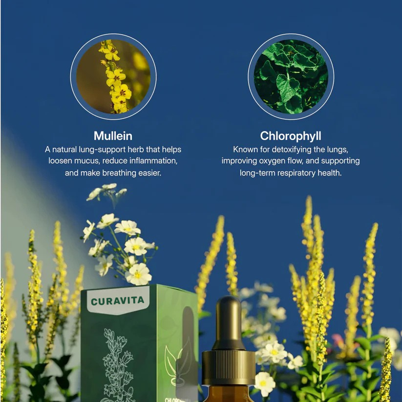 Curavita | Mullein lung detox drops